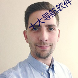 十大導航軟件