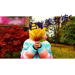 白絲美女被c
