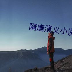 隋唐演义小说(shuō)