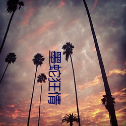 欧博abg - 官方网址登录入口