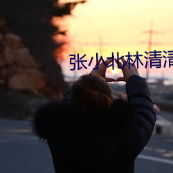 张小(xiǎo)北(běi)林清清