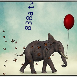 838a t∨浪(làng)花直播(b)苹果