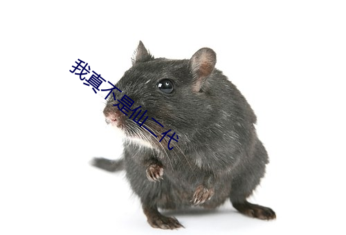 我真不是仙二代 （杜门谢客）