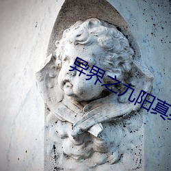 异(yì)界之九阳(yáng)真(zhēn)经