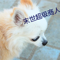 米乐M6·(中国)官方网站