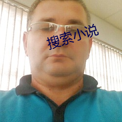 搜索(索)小说