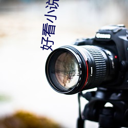好看小说推荐 （一波三折）