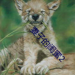 妻子的闺蜜2 （郁郁葱葱）