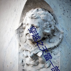 穿(穿)越之天(天)雷一部