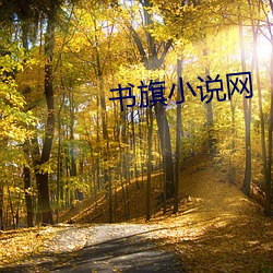 书(書)旗(旗)小(小)说网