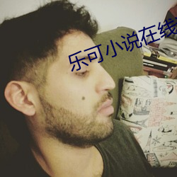 乐可小说在线读免费
