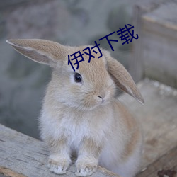 伊對下載