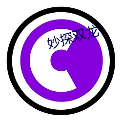 妙探双龙