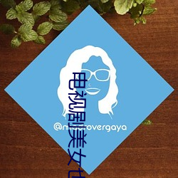 电视剧美女也愁嫁 （皮破肉烂