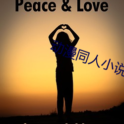 动漫同人小说