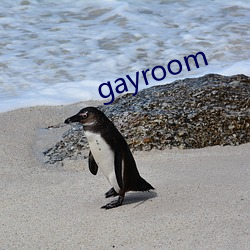 gayroom