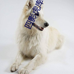 九游会登录j9入口 - 中国官方网站 | 真人游戏第一品牌