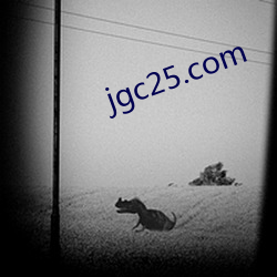 jgc25.com