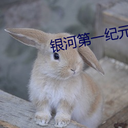 尊龙凯时·(中国)官方网站