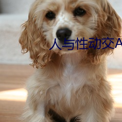 人与性动(動)交AAAABBBB