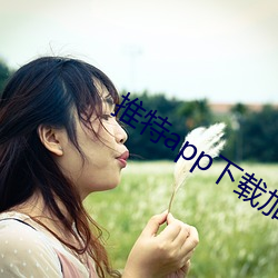 yp街机电子游戏(中国)官方网站