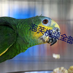 泡芙视(視)频(頻)全部