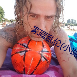 家庭乱伦(小说