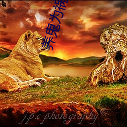 养(yǎng)鬼为祸