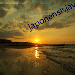 japonensisjavaapp ĸ֮