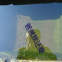 米乐M6·(中国)官方网站