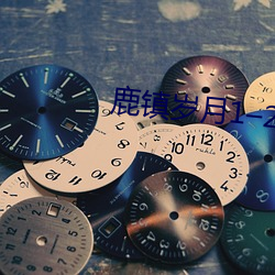 鹿镇岁月1–214
