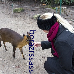 berazrssasses
