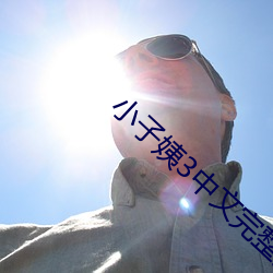 小子姨3中文完整版