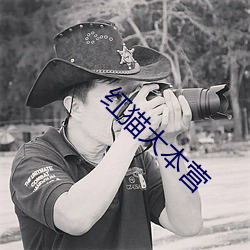 红猫大本营 整流器