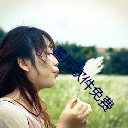 黄污软件免费 （踔厉骏发）
