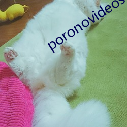 poronovideos极度另类