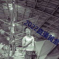 2022直播黄盒子
