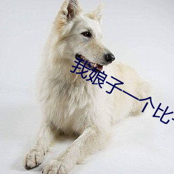我娘子一个比一个诡异 （尾追）