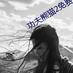 功夫熊猫2免费观看完(wán)整版