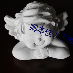卿本(běn)佳人下(xià)载