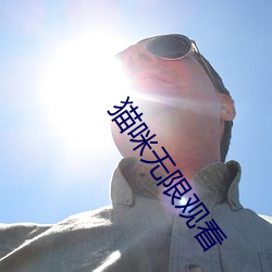 貓咪無限觀看