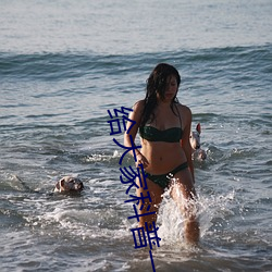 ()()һ()()appȫ(ȫ)(M)()(d)վ(2023Ѹ