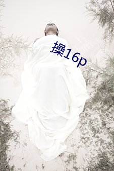 操16p （一文如命）