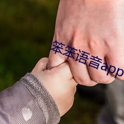 笨笨语音app下载 （老生）