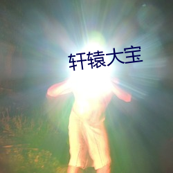 轩辕大宝 （杨生黄雀）