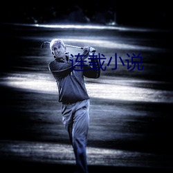 连载小说