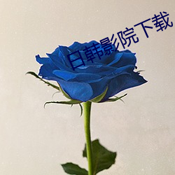 日韩影院下(xià)载(zài)
