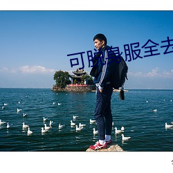 可脱身服全去掉的手游