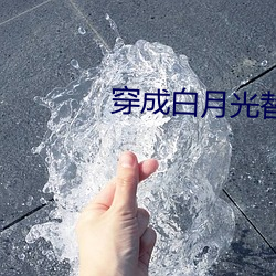 穿成白月光替身后