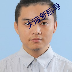 大菠萝航导